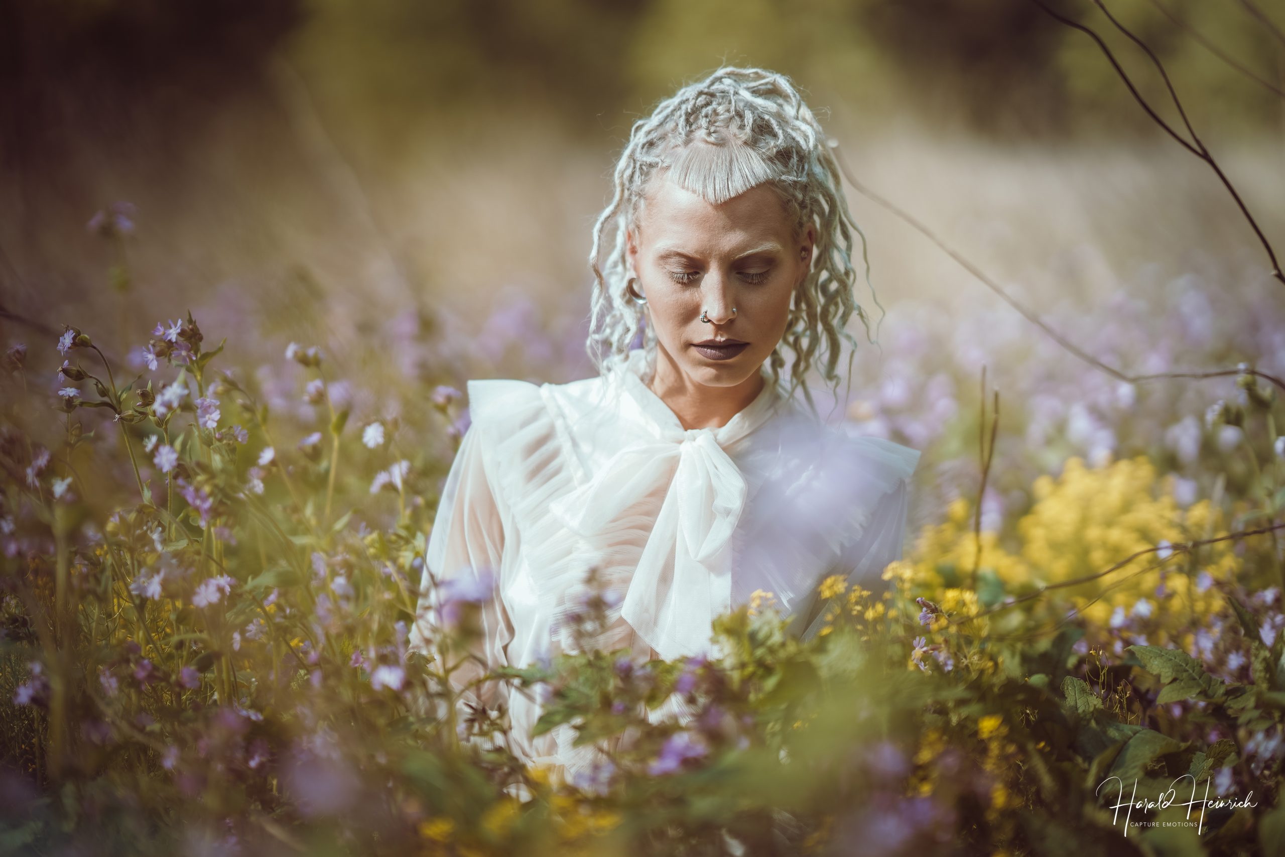 Miri – Traumland